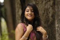 Parents New Stills